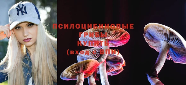 гидропоника Белоозёрский