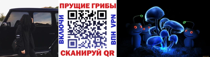 ОМГ ОМГ зеркало Кыштым Псилоцибиновые грибы MAGIC MUSHROOMS где купить наркоту
